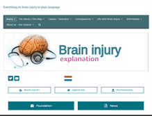 Tablet Screenshot of braininjury-explanation.com